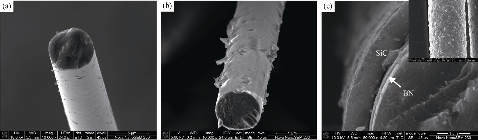 Tendances émergentes du revêtement en carbure de silicium pour les matériaux de graphite